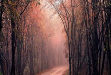 参赛运动员及其球童在比赛中串通修改成绩，中国高尔夫球协会：雷悦文等8名违规人员被禁赛