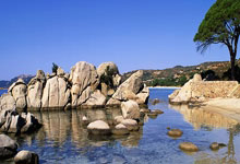 参赛运动员及其球童在比赛中串通修改成绩，中国高尔夫球协会：雷悦文等8名违规人员被禁赛